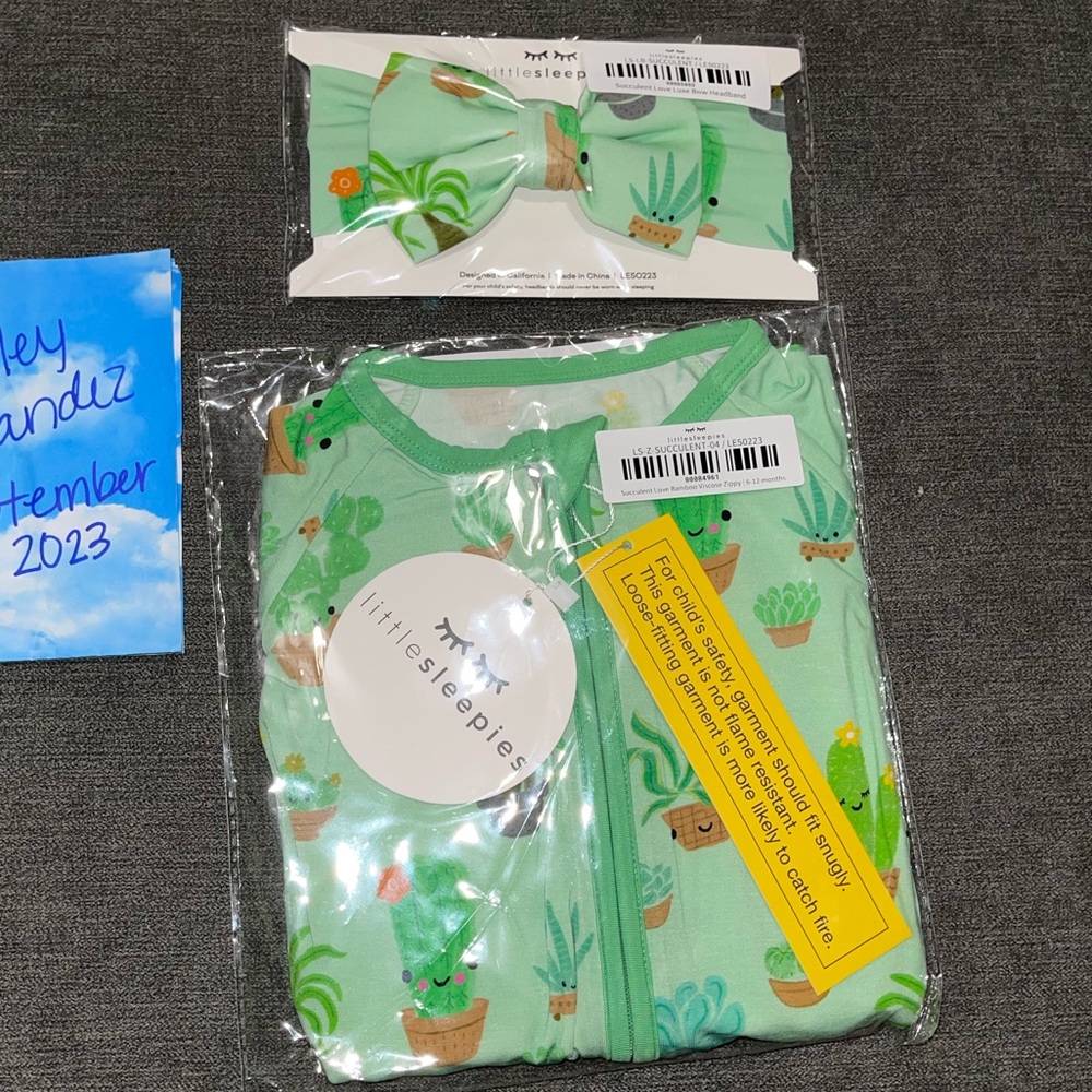 Succulent love bundle
